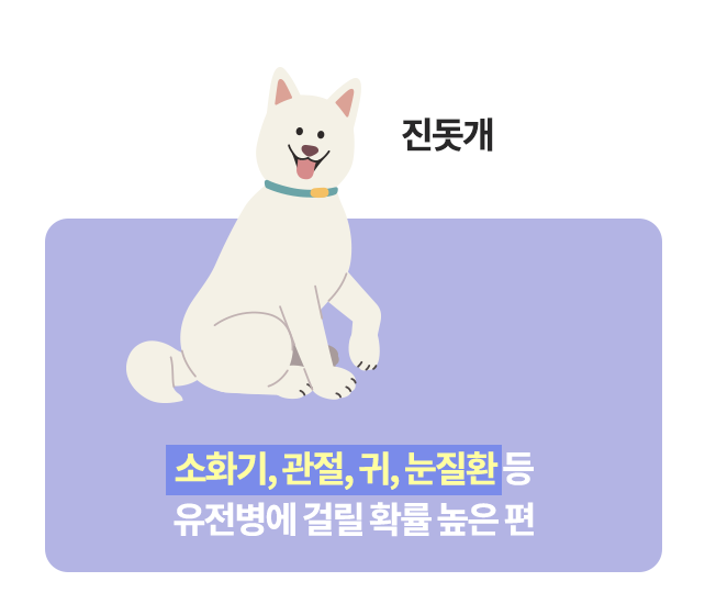 반려견 소화기질환, 반려견 관절, 반려견 귀, 반려견 눈질환